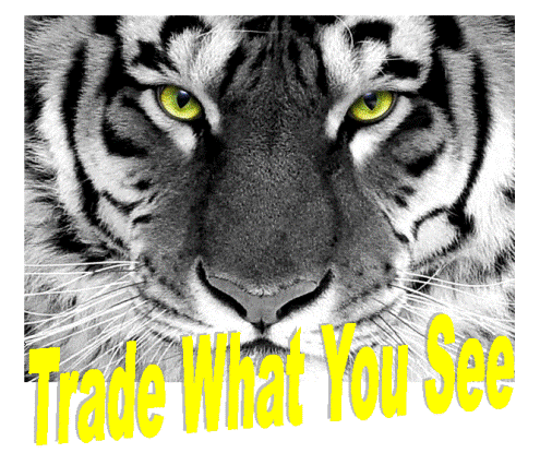 Trade what you see